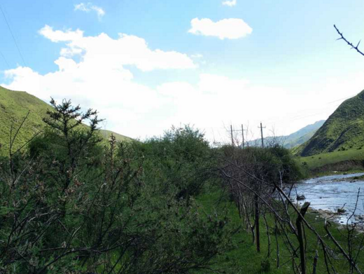 甘南草原什么时候去好 甘南草原在哪儿 甘南草原什么时候去好 甘南草原在哪儿