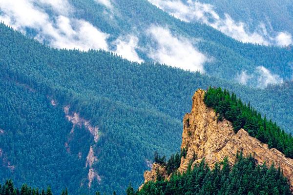 2022贺兰山国家森林公园门票多少钱 附优惠门票价格