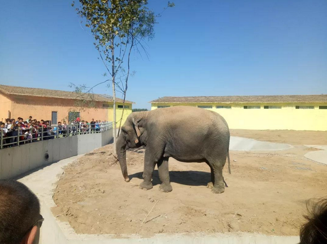 衡水野生動(dòng)物園門票