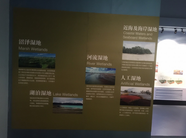 青藏高原自然博物馆门票