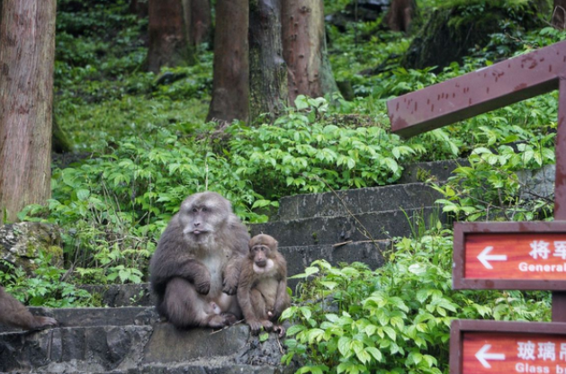 德陽神瀑溝門票