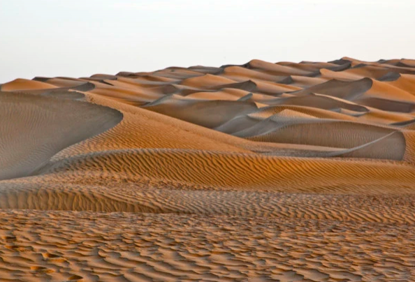 塔里木沙漠公路被称为希望之路的原因