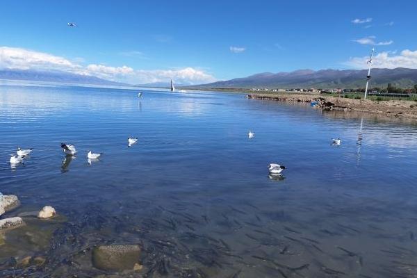 青海旅游攻略幾月份去最好及必去景點(diǎn)推薦