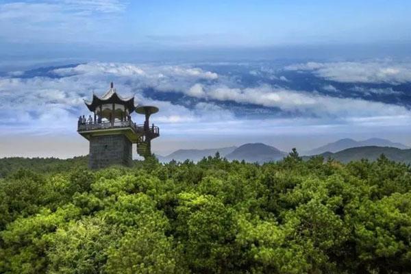 2022大云山国家森林公园旅游攻略 - 门票价格 - 开放时间 - 地址