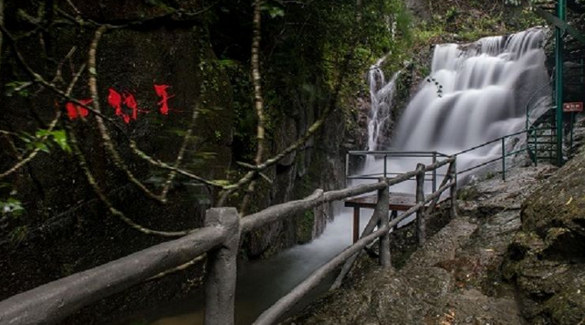 高州仙人洞門票