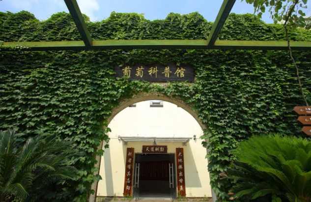 馬陸葡萄主題公園