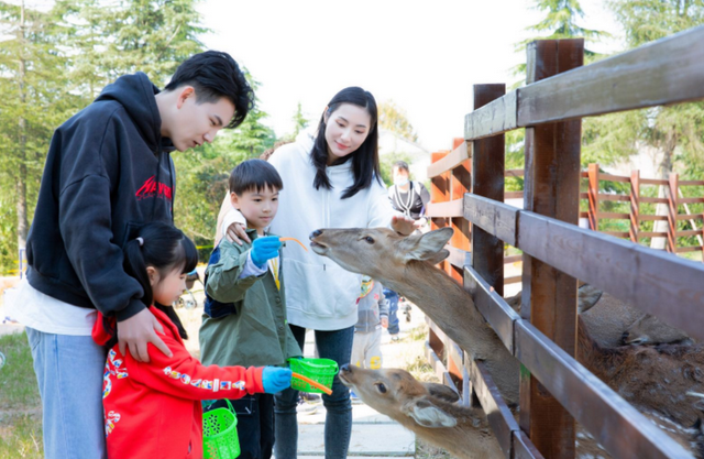 南京松鼠部落森林假日公園