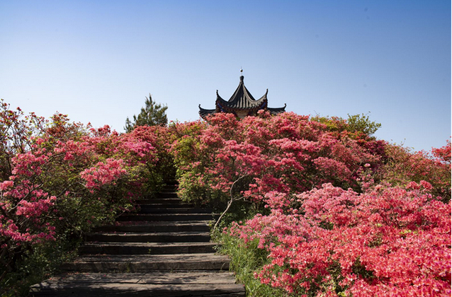 龟山风景区麻城图片