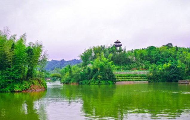 赤水竹海國(guó)家森林公園