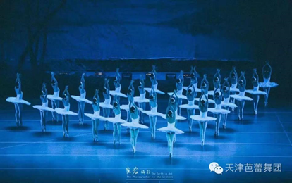 2023芭蕾舞劇《天鵝湖》天津站演出時間、地點、劇目及門票