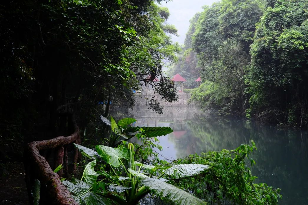 安溪龍門(mén)森林公園