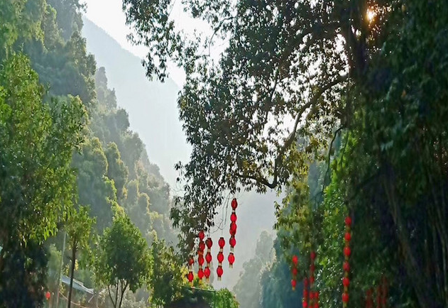 安溪桫椤谷风景区图片