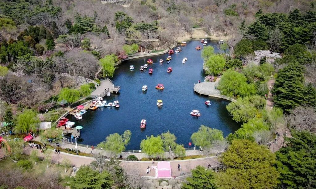 青岛中山公园游览图片