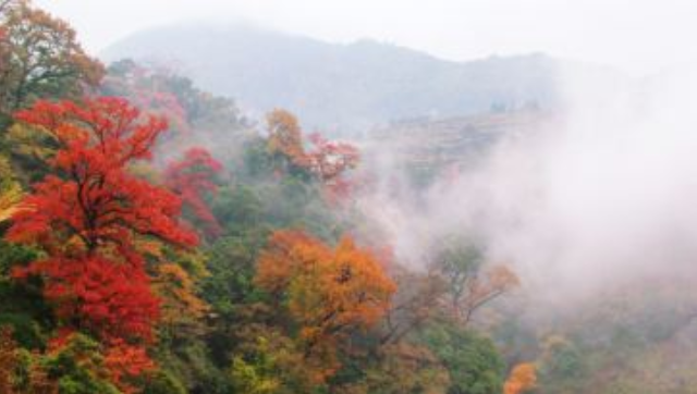 瑤里景區(qū)