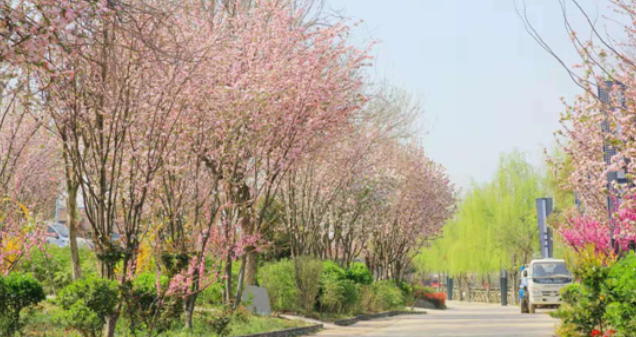 福恩牡丹園