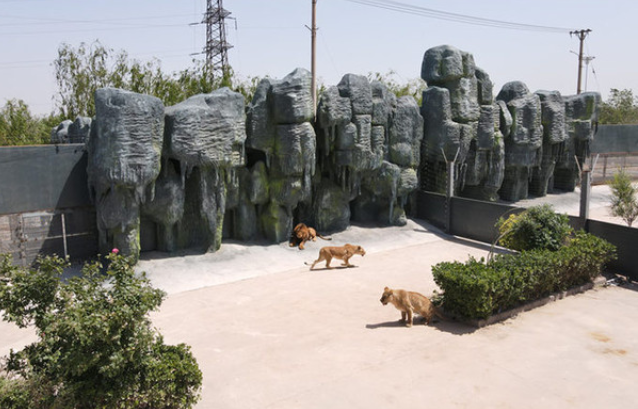 邯鄲園博動物園