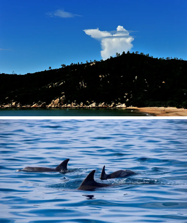 厦门海豚湾景点图片