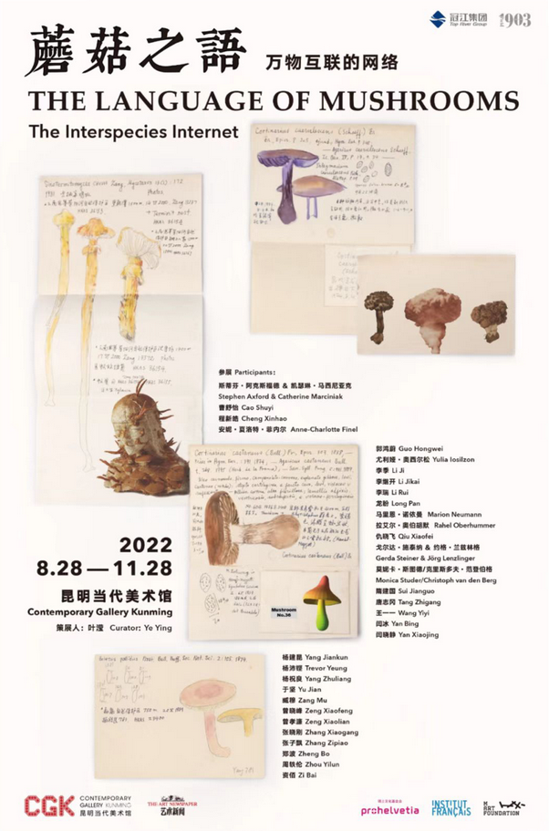 昆明蘑菇之语万物互联的网络展览门票