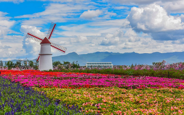 黃陂花海樂園