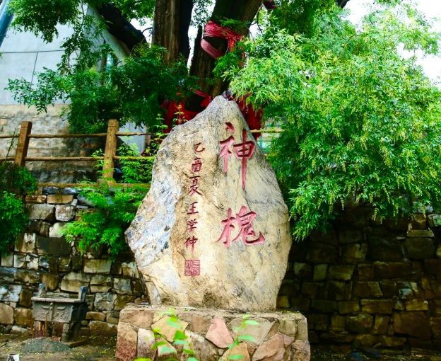 九龍山國家森林公園