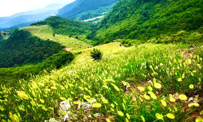 九龍山國家森林公園