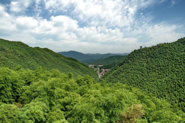 中國大竹海門票