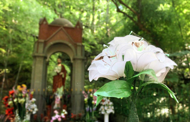 佘山國(guó)家森林公園