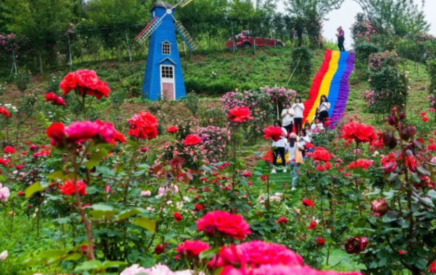 重慶慢谷森林花園