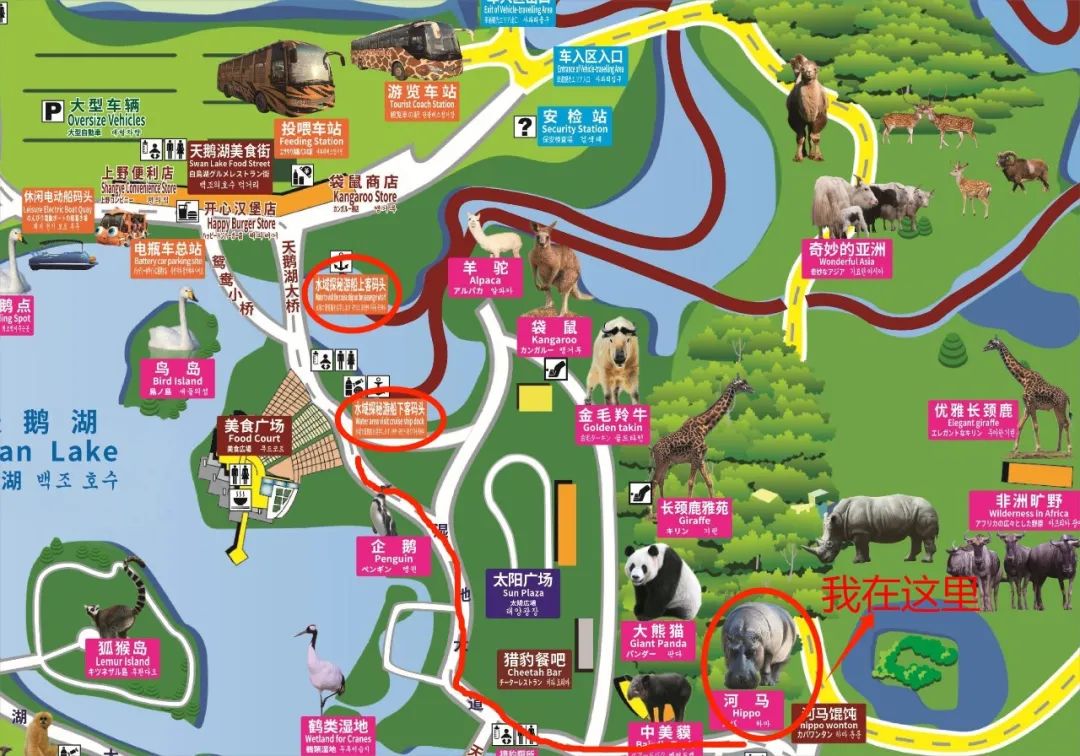 上海野生动物园导览图图片