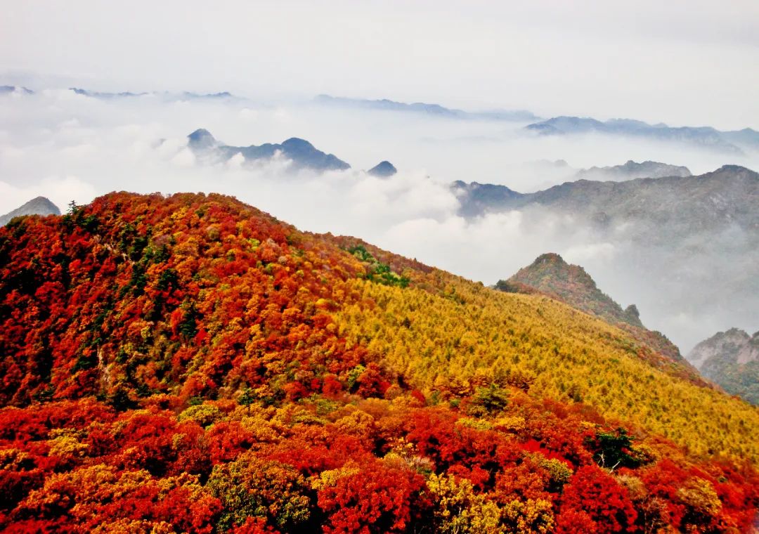 2024历山风景区介绍(开放时间 门票价格 优惠政策 游玩攻略)