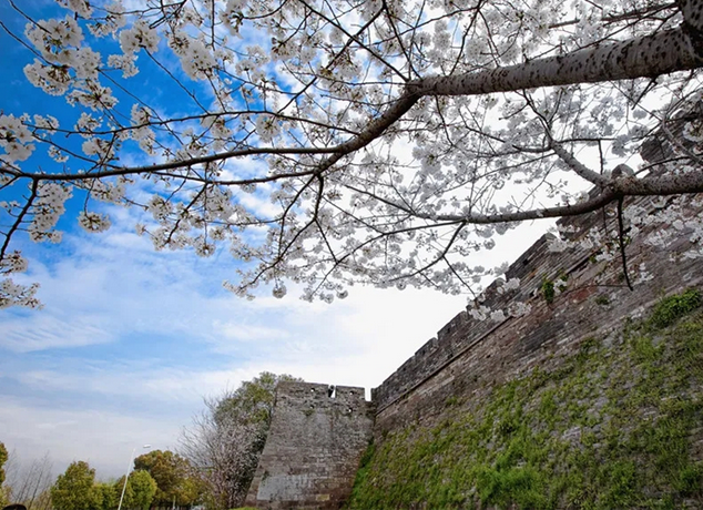 臺州府城文化旅游區(qū)門票