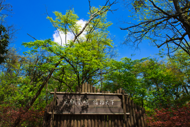 恩施坪壩營國家森林公園景區(qū)門票