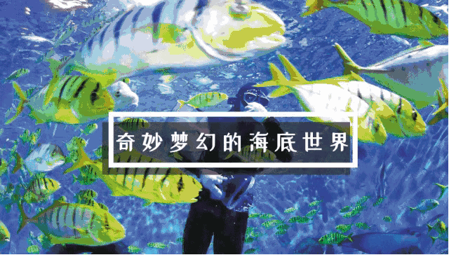 2023宿州三鲨海洋世界(营业时间+场馆地址+门票票价+表演时间)
