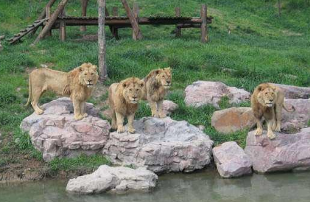 蘭州野生動物園門票