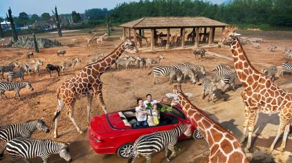 2024杭州野生动物世界门票预约+优惠票+游玩时间+项目