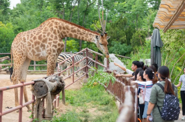 濟南野生動物世界門票