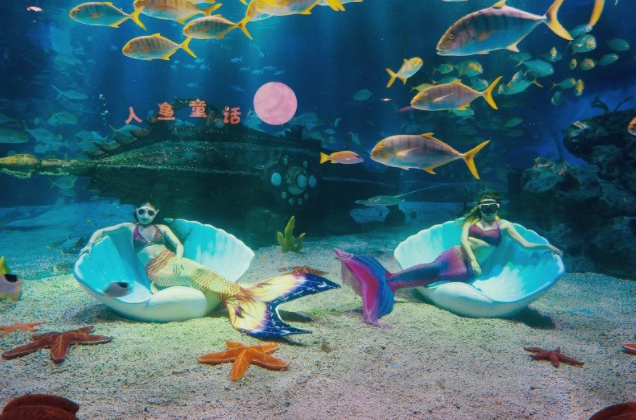 天津海昌極地海洋館門票