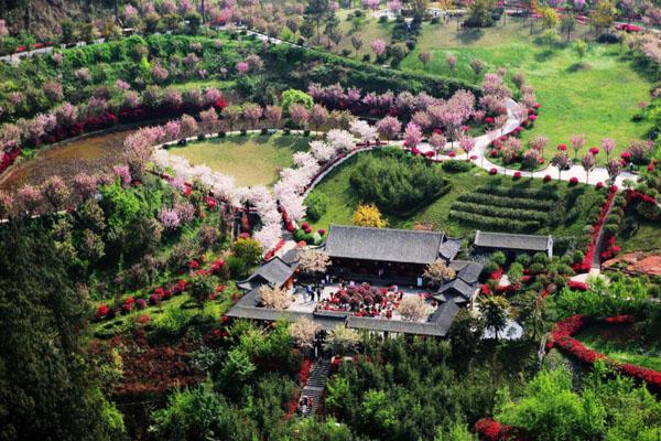 2023成都新津花舞人间门票多少钱