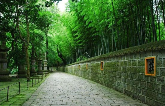 天童國(guó)家森林公園