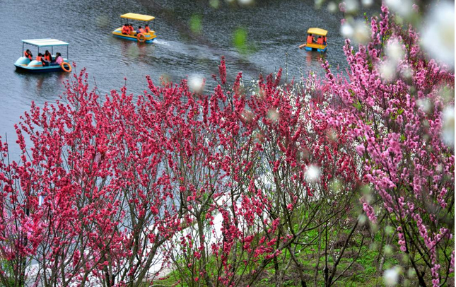 永春北溪桃花節(jié)