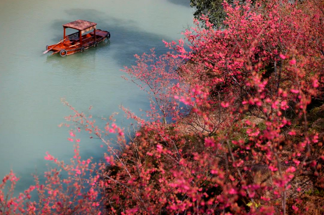 溫州櫻花園