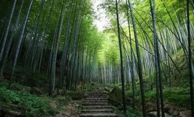 五峰山國家森林公園門票