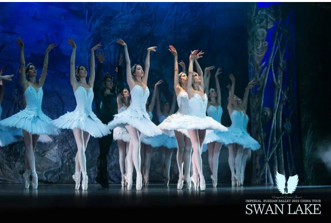 俄罗斯皇家芭蕾舞团《天鹅湖》成都站