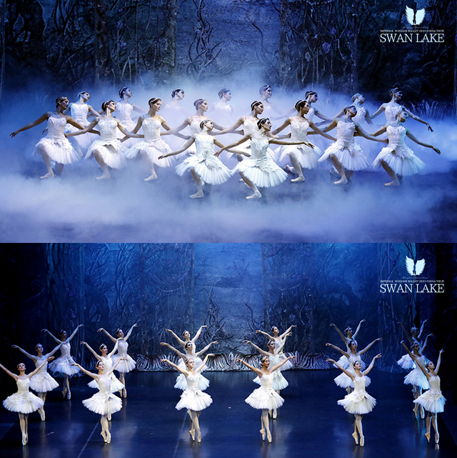俄罗斯皇家芭蕾舞团《天鹅湖》泉州站