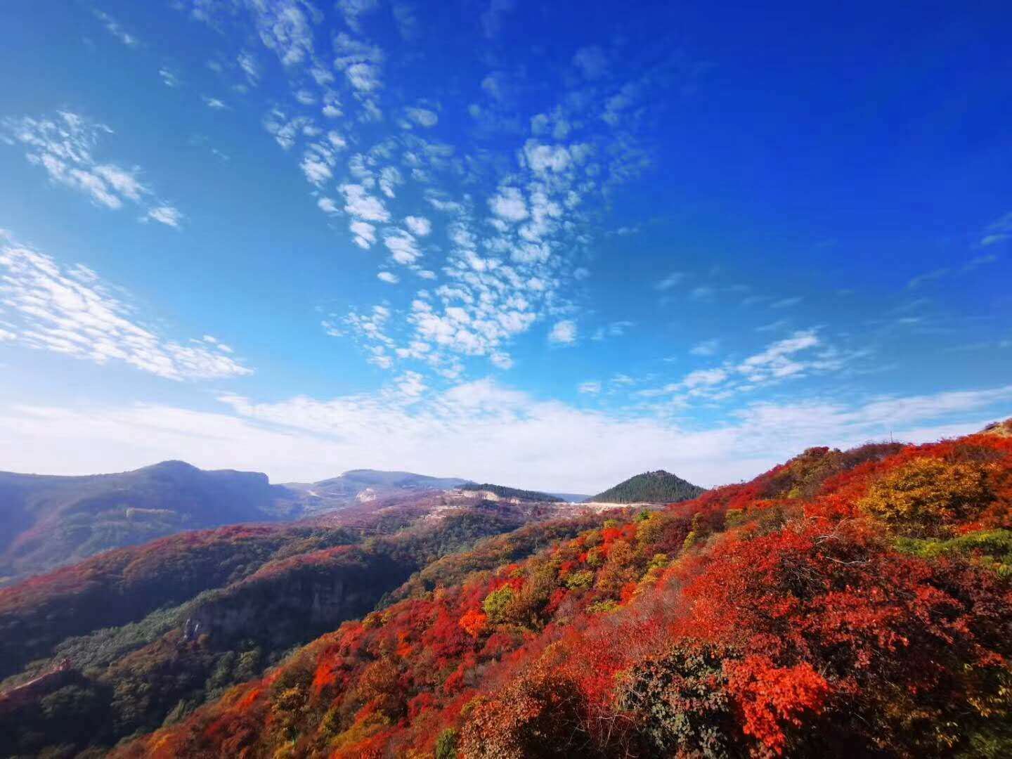 鲁商•红叶柿岩旅游区