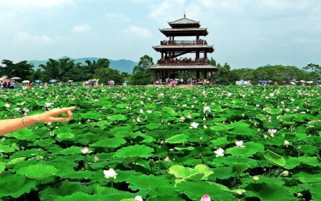 荷美覃塘-湖美四季景區(qū)