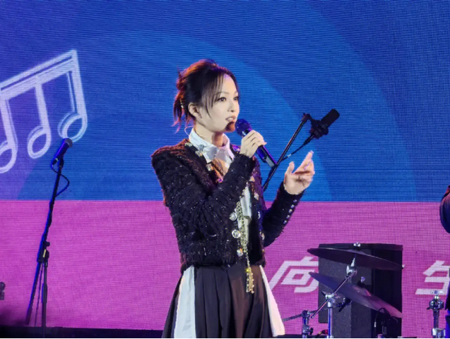 三亞之夜群星演唱會(huì)