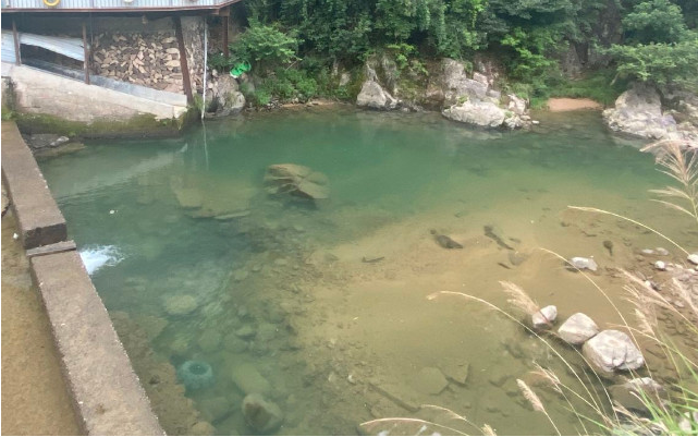 新處峽綠谷漂流門票