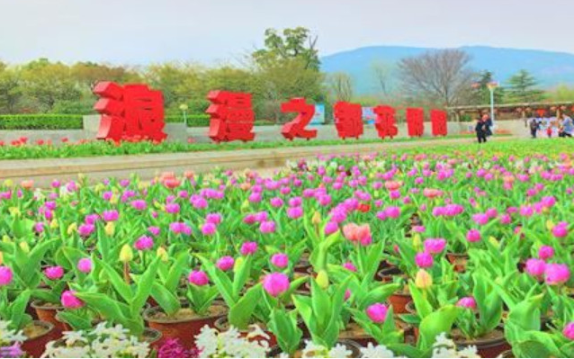 安徽文創(chuàng)花博園