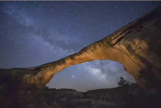 武漢國家地理經(jīng)典影像展